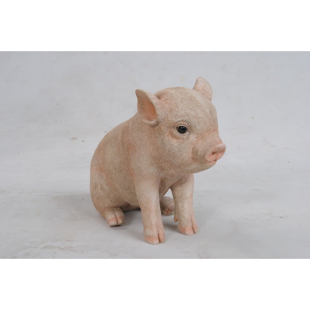 Sitting Baby Pig. Picture 1