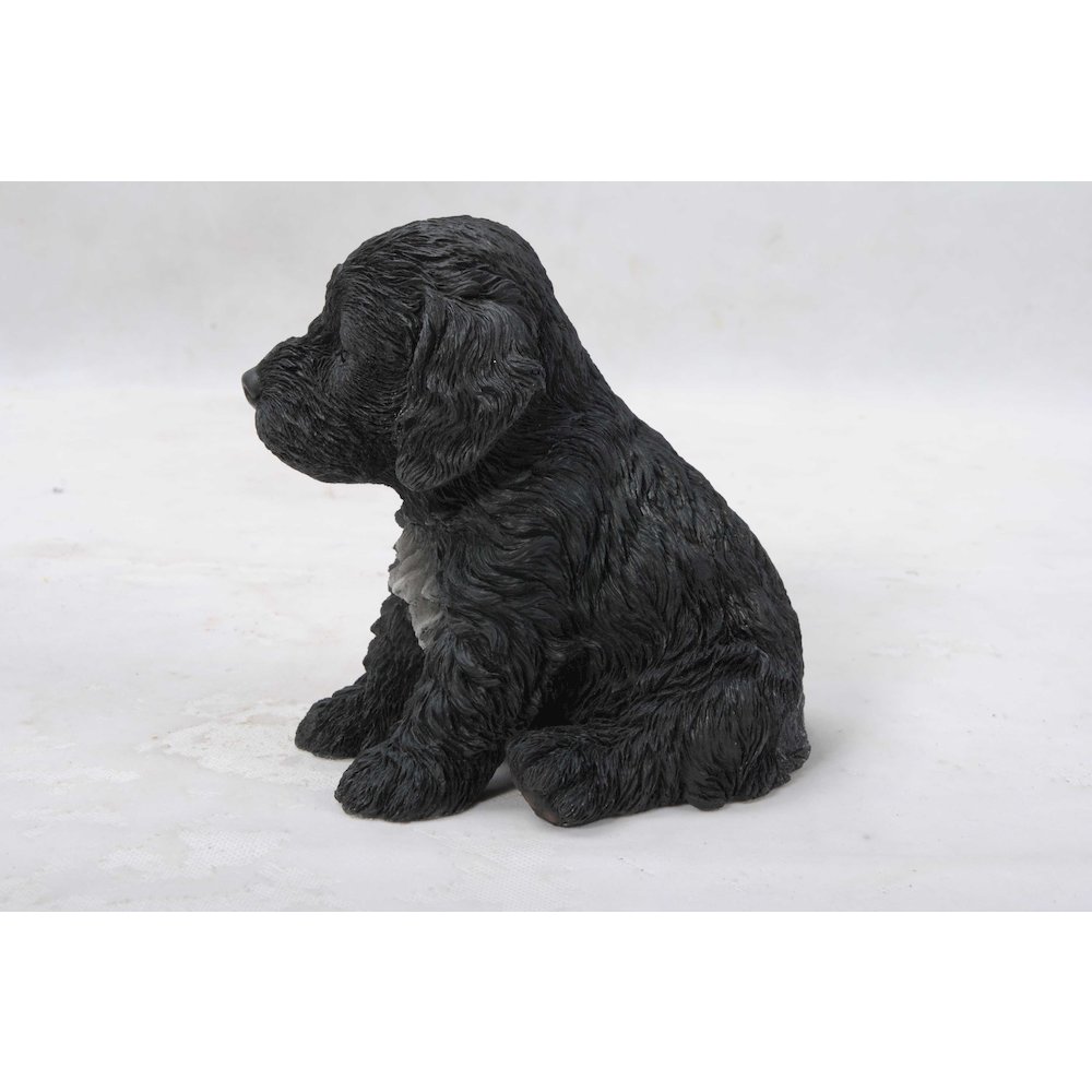 Cockapoo Puppy Statue. Picture 3
