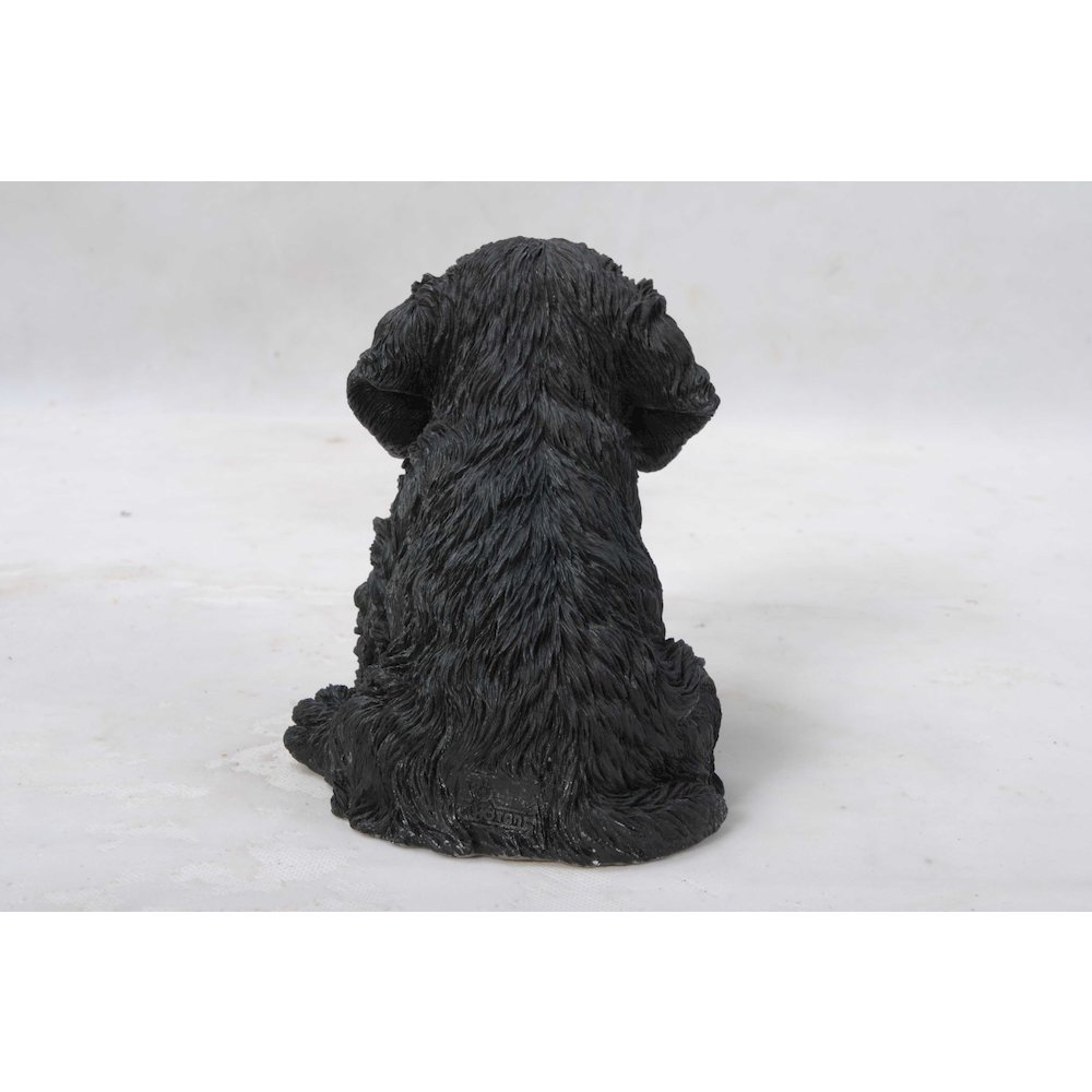 Cockapoo Puppy Statue. Picture 4