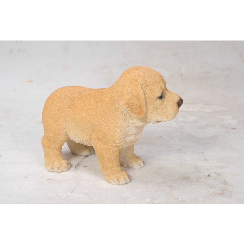 Yellow Standing Labrador Puppy Statue. Picture 4