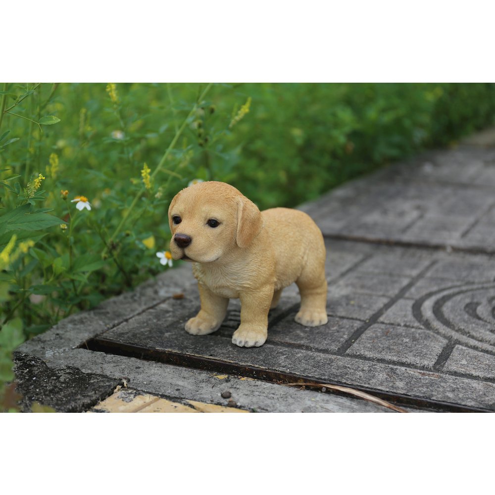 Yellow Standing Labrador Puppy Statue. Picture 6