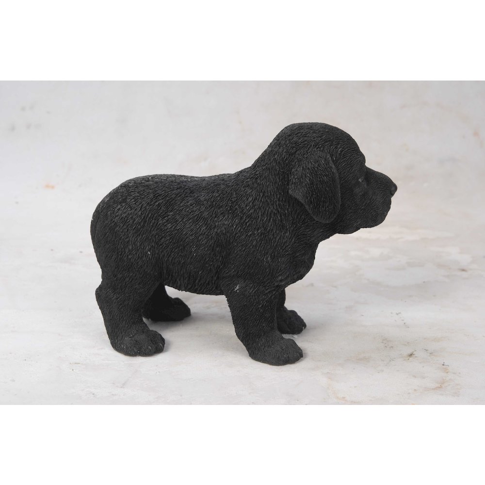 Black Standing Labrador Puppy Statue. Picture 4