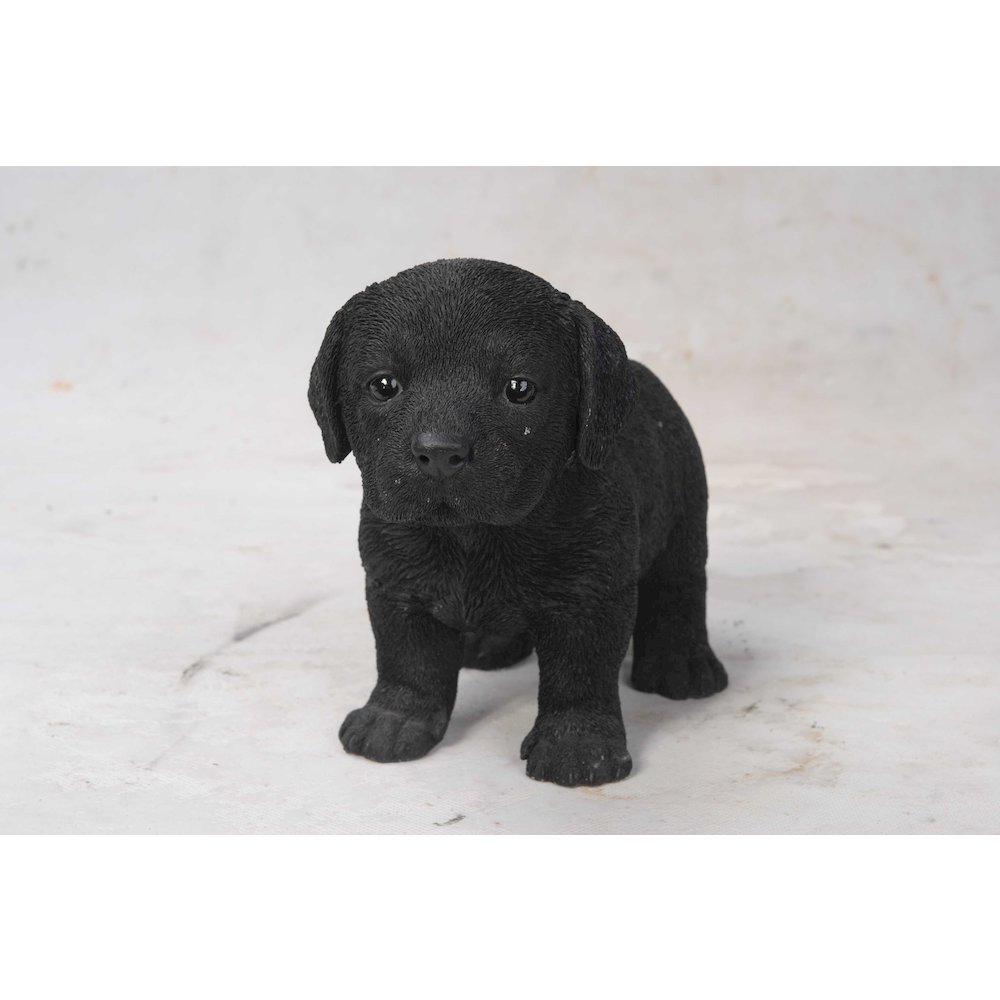 Black Standing Labrador Puppy Statue. Picture 2
