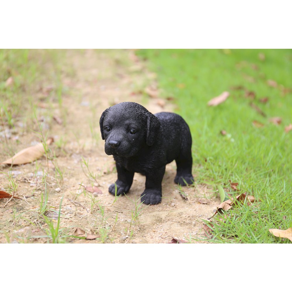 Black Standing Labrador Puppy Statue. Picture 5