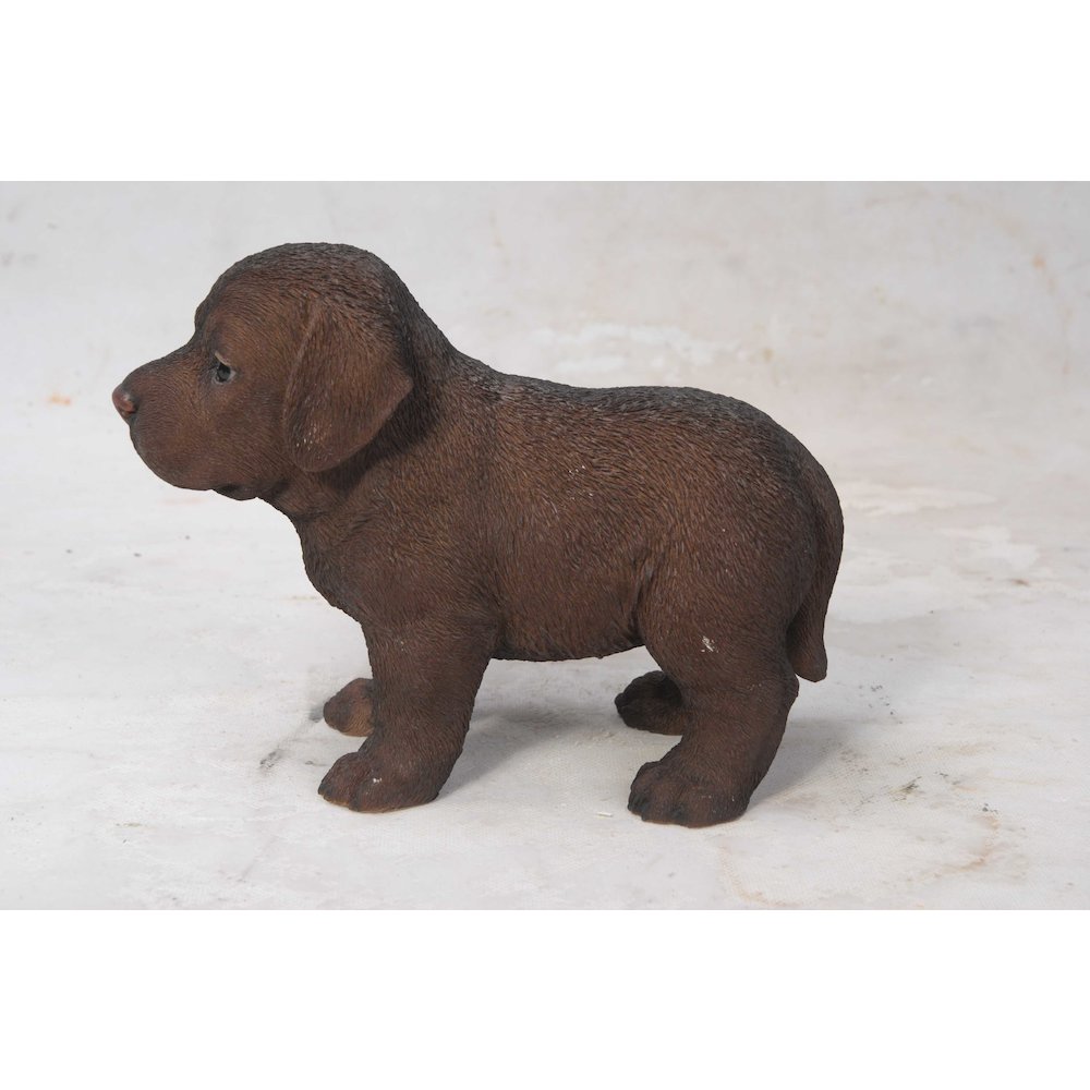 Chocolate Standing Labrador Puppy Statue. Picture 3