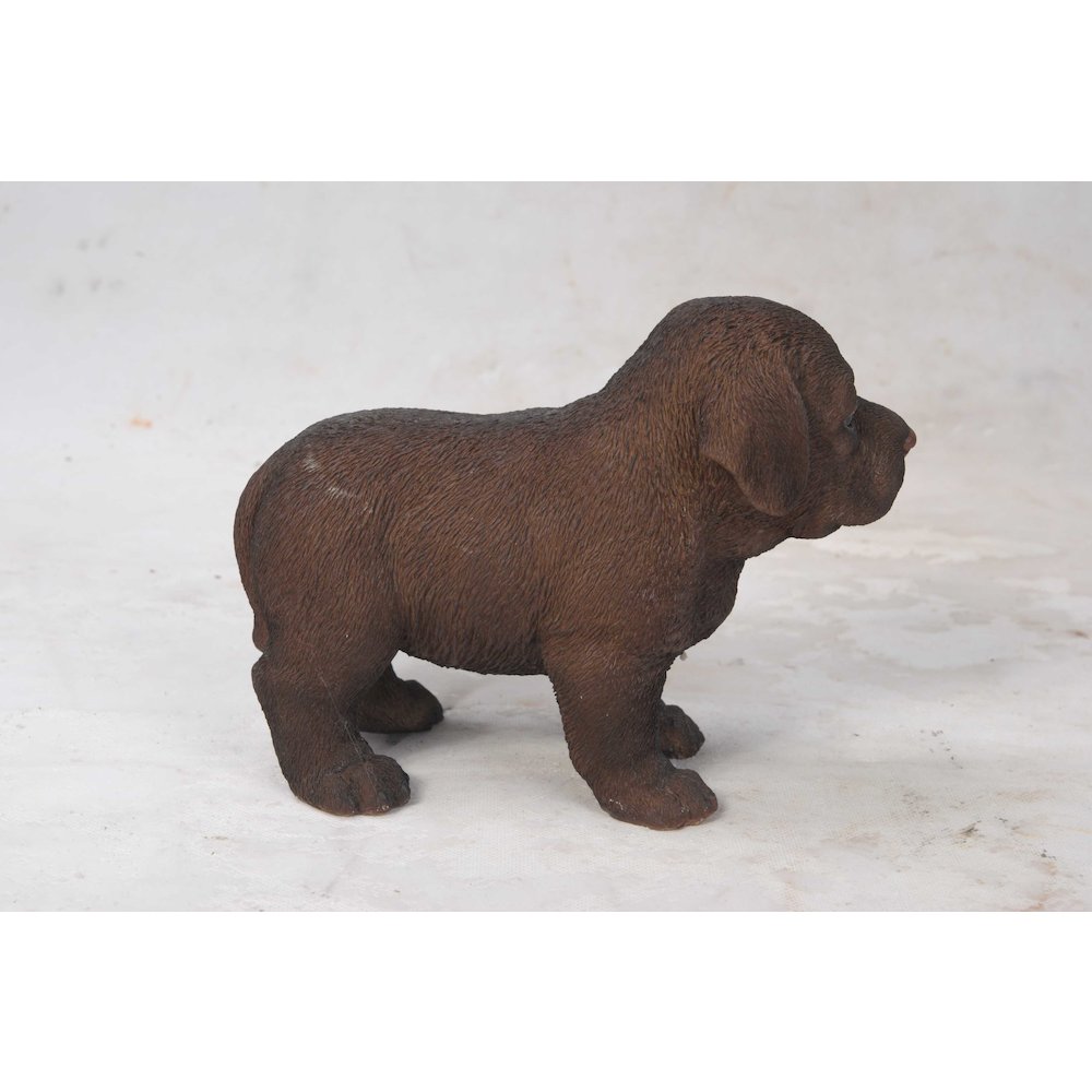 Chocolate Standing Labrador Puppy Statue. Picture 5