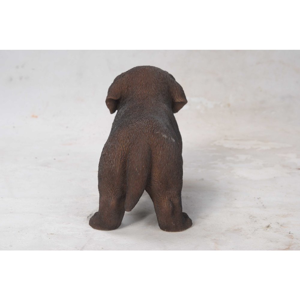 Chocolate Standing Labrador Puppy Statue. Picture 4