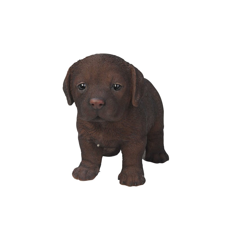 Chocolate Standing Labrador Puppy Statue. Picture 2