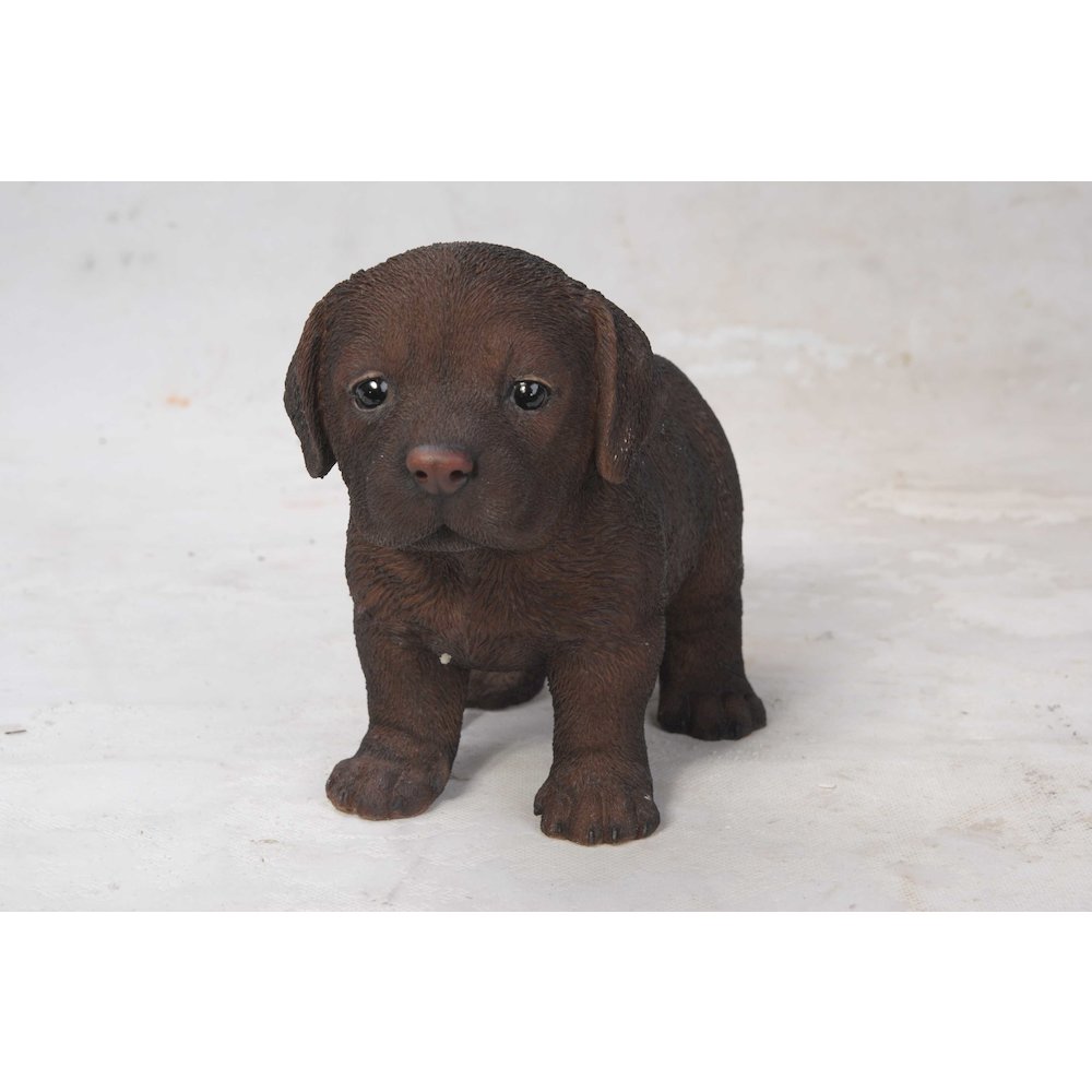 Chocolate Standing Labrador Puppy Statue. Picture 1