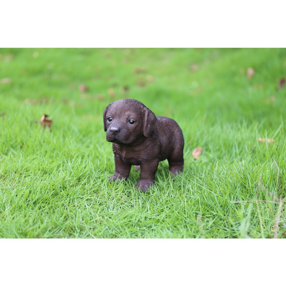 Chocolate Standing Labrador Puppy Statue. Picture 6