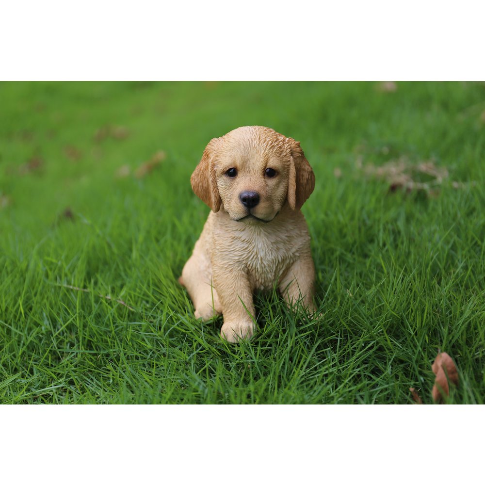 Sitting Golden Retriever Puppy Statue. Picture 6