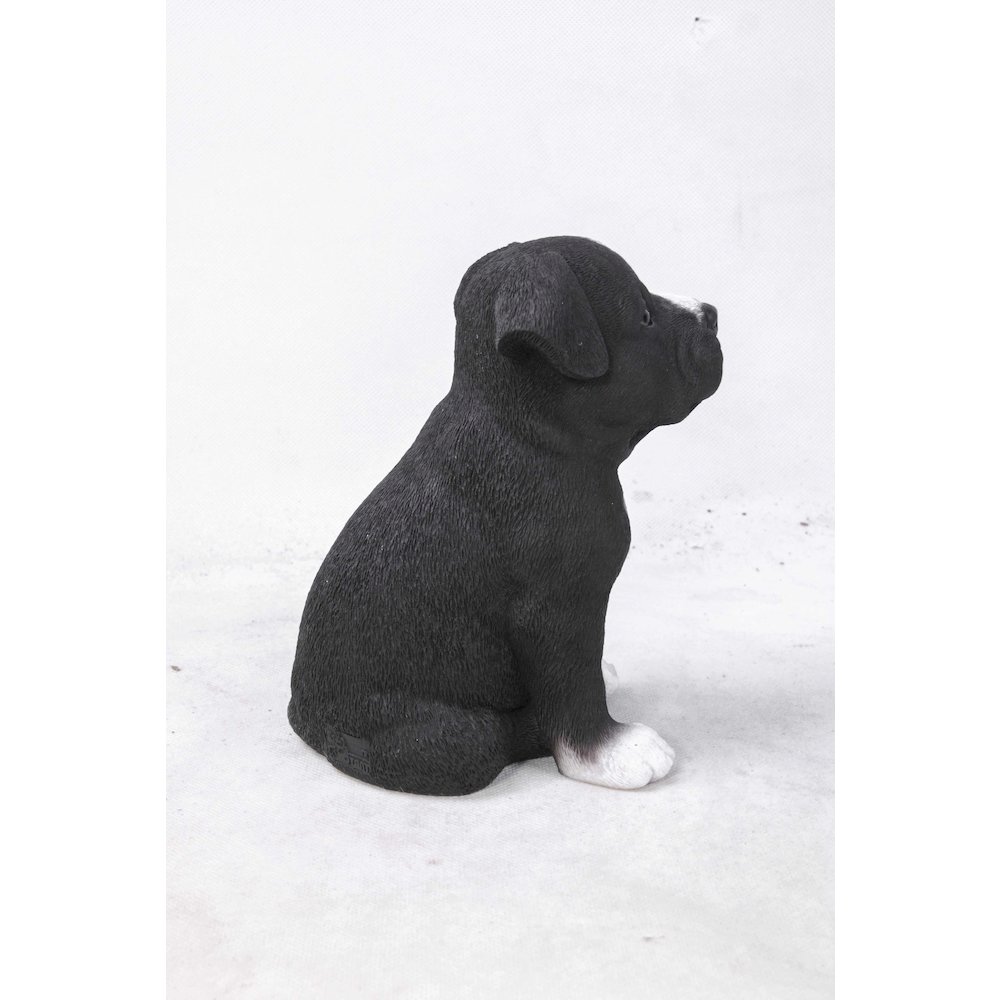 Staffordshire Pitbull Puppy Statue. Picture 3