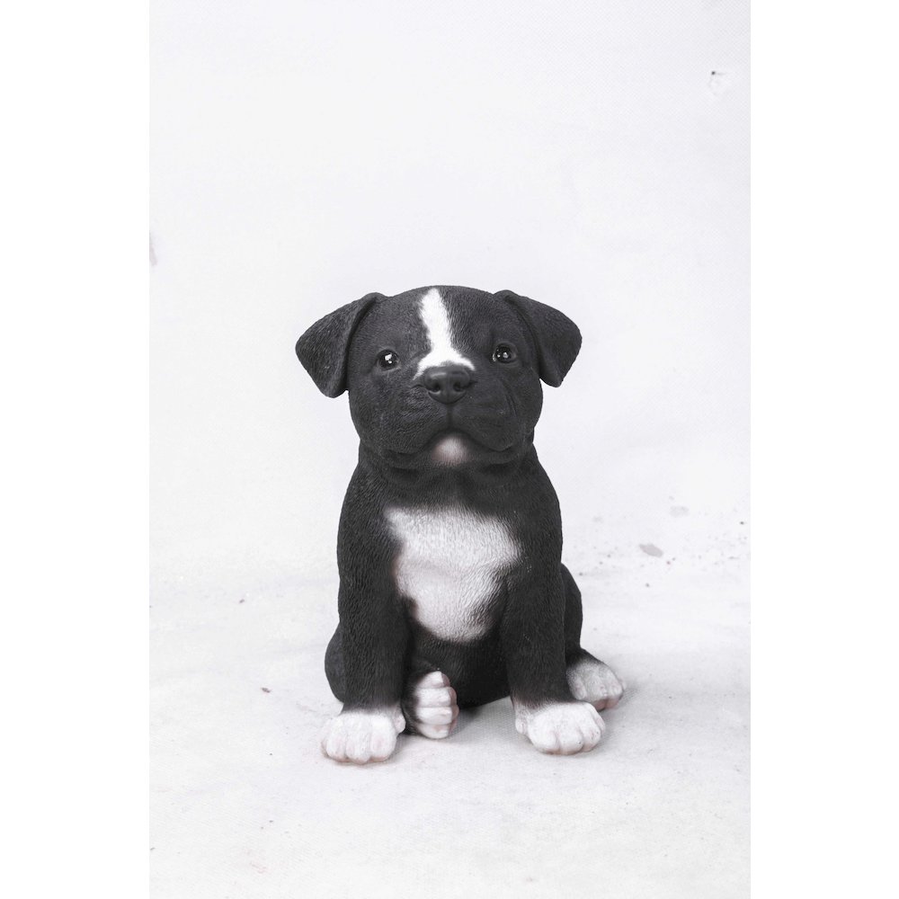 Staffordshire Pitbull Puppy Statue. Picture 2