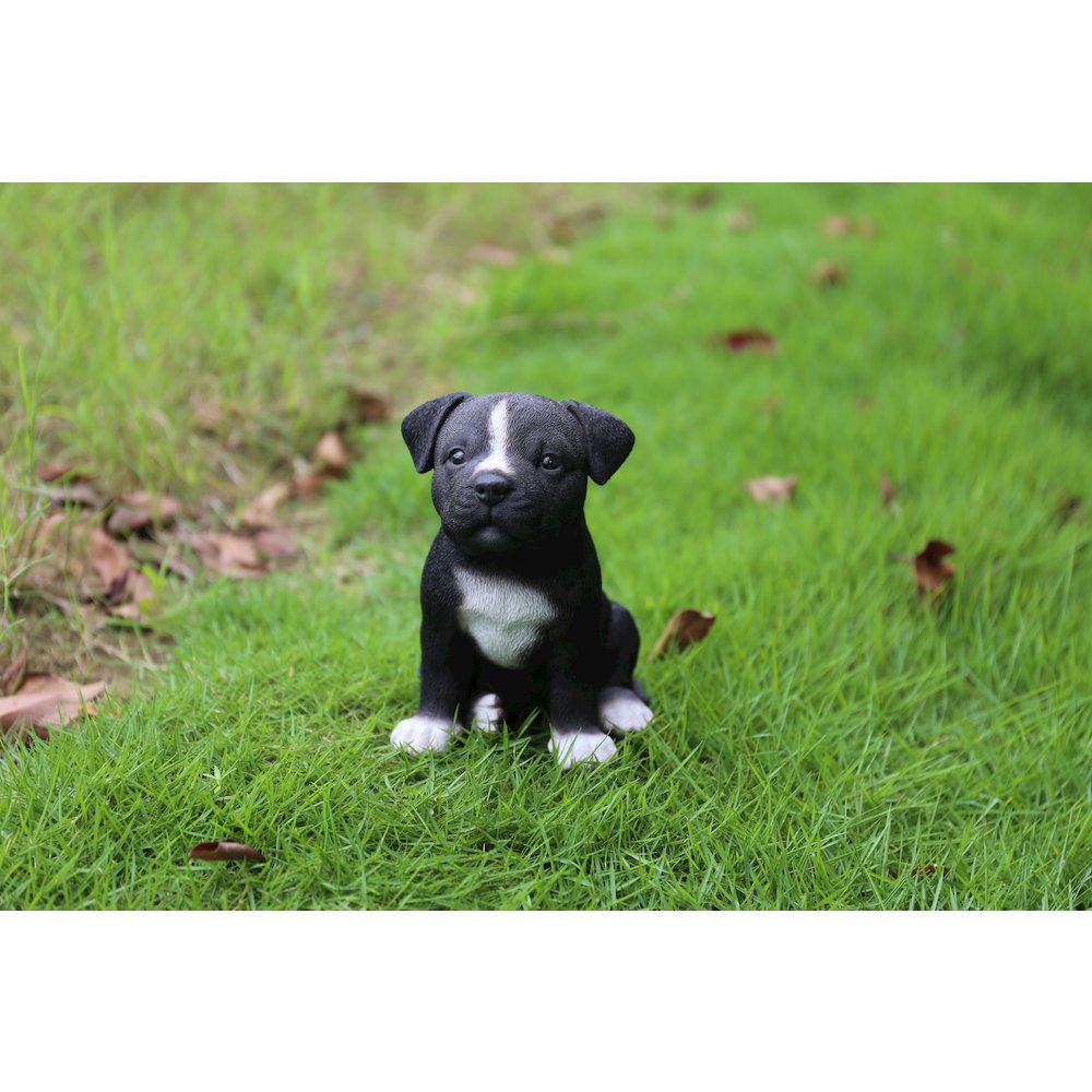 Staffordshire Pitbull Puppy Statue. Picture 5