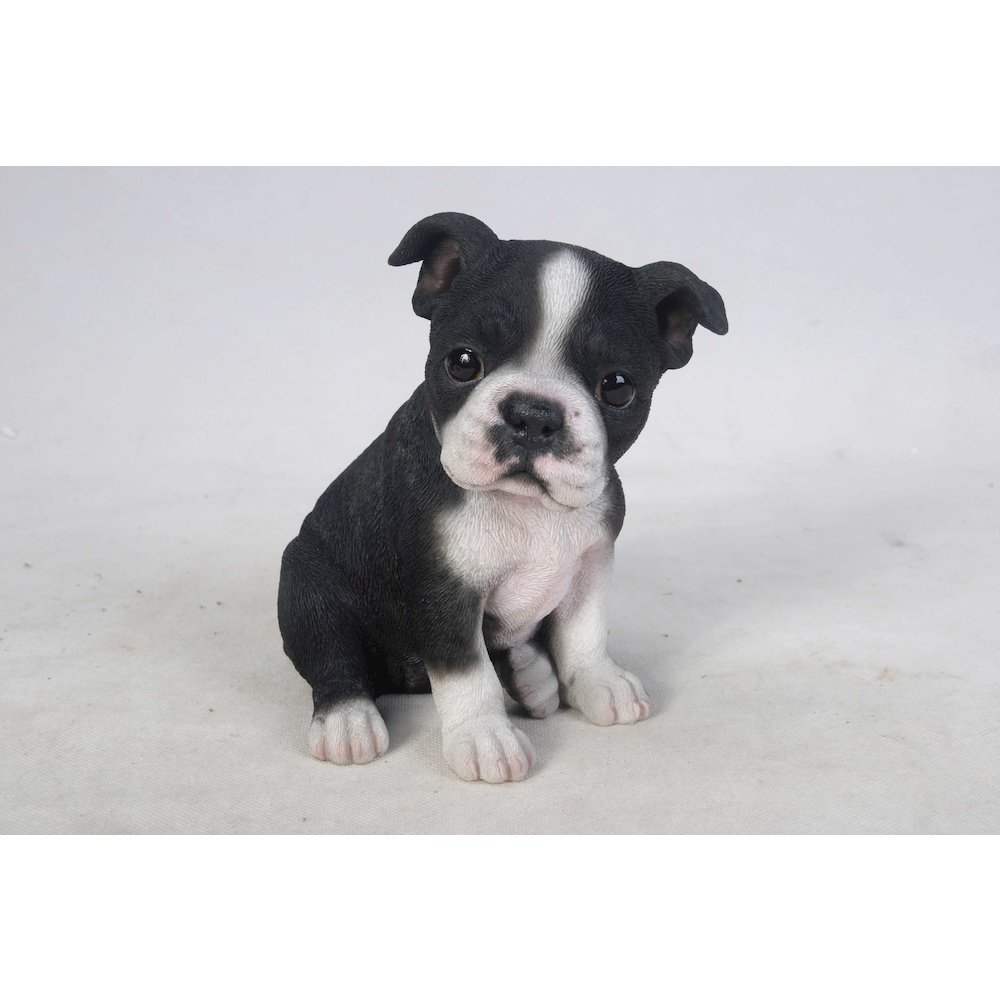 Boston Terrier Puppy Statue. Picture 2