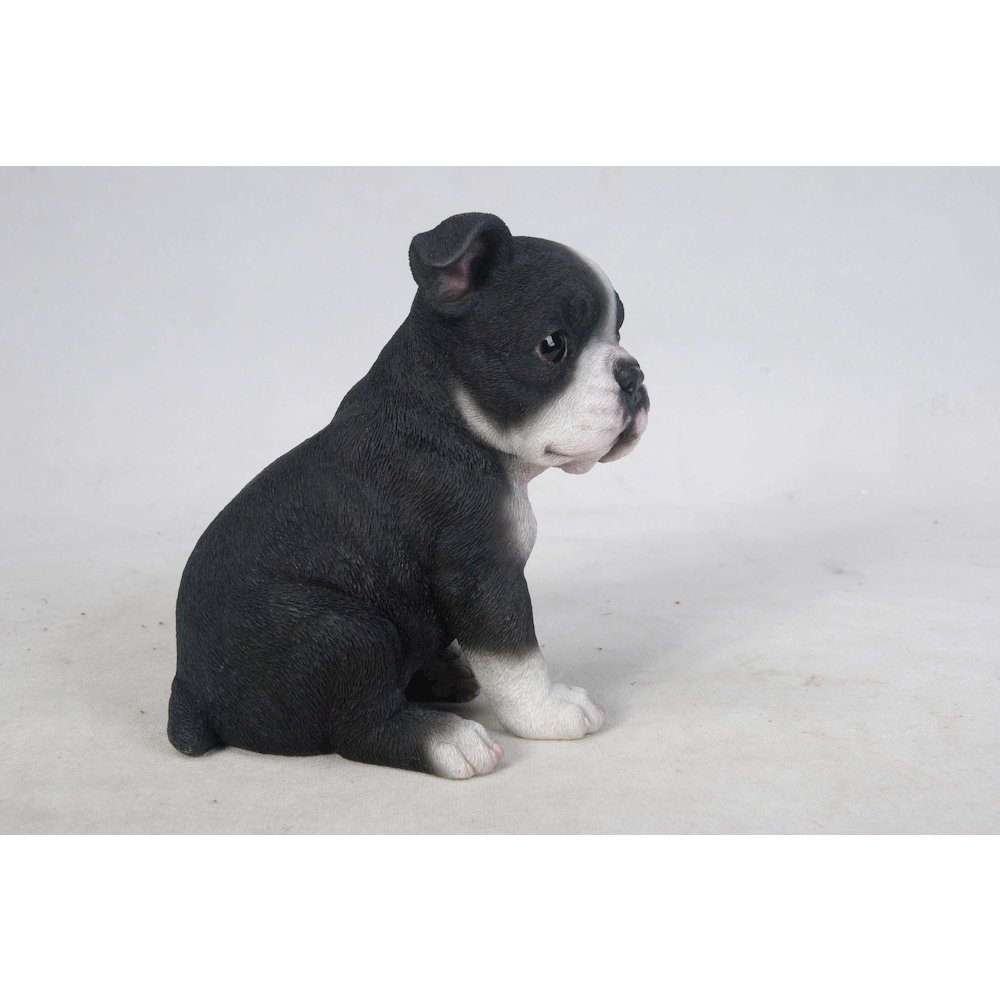 Boston Terrier Puppy Statue. Picture 5