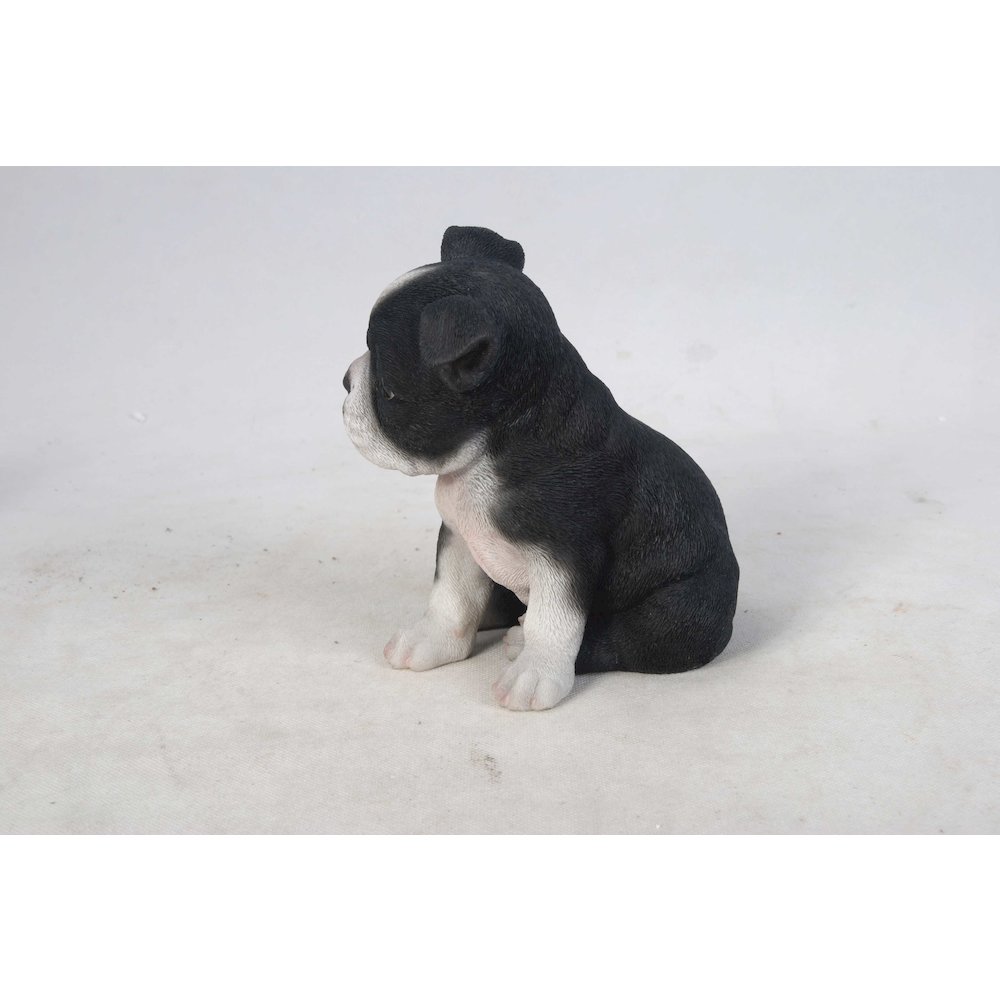 Boston Terrier Puppy Statue. Picture 1