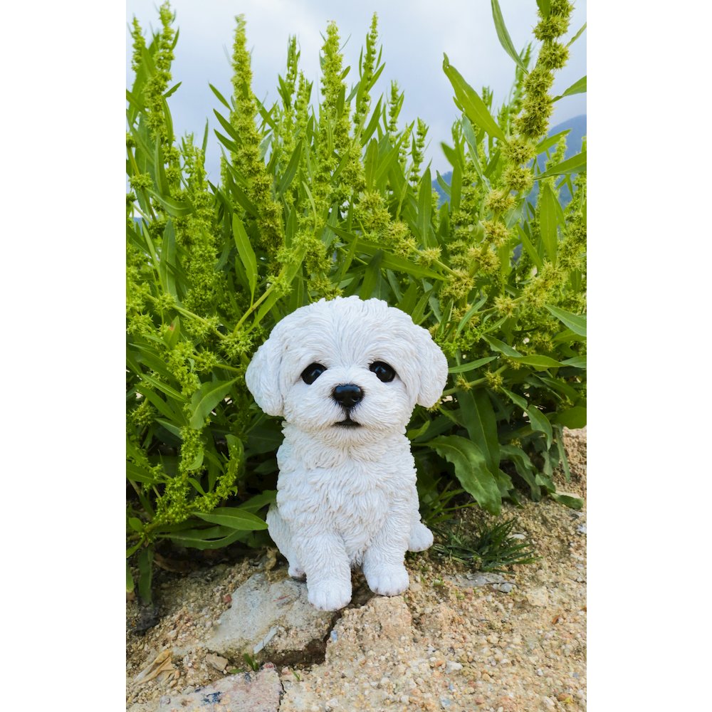 Maltese Puppy Statue. Picture 7