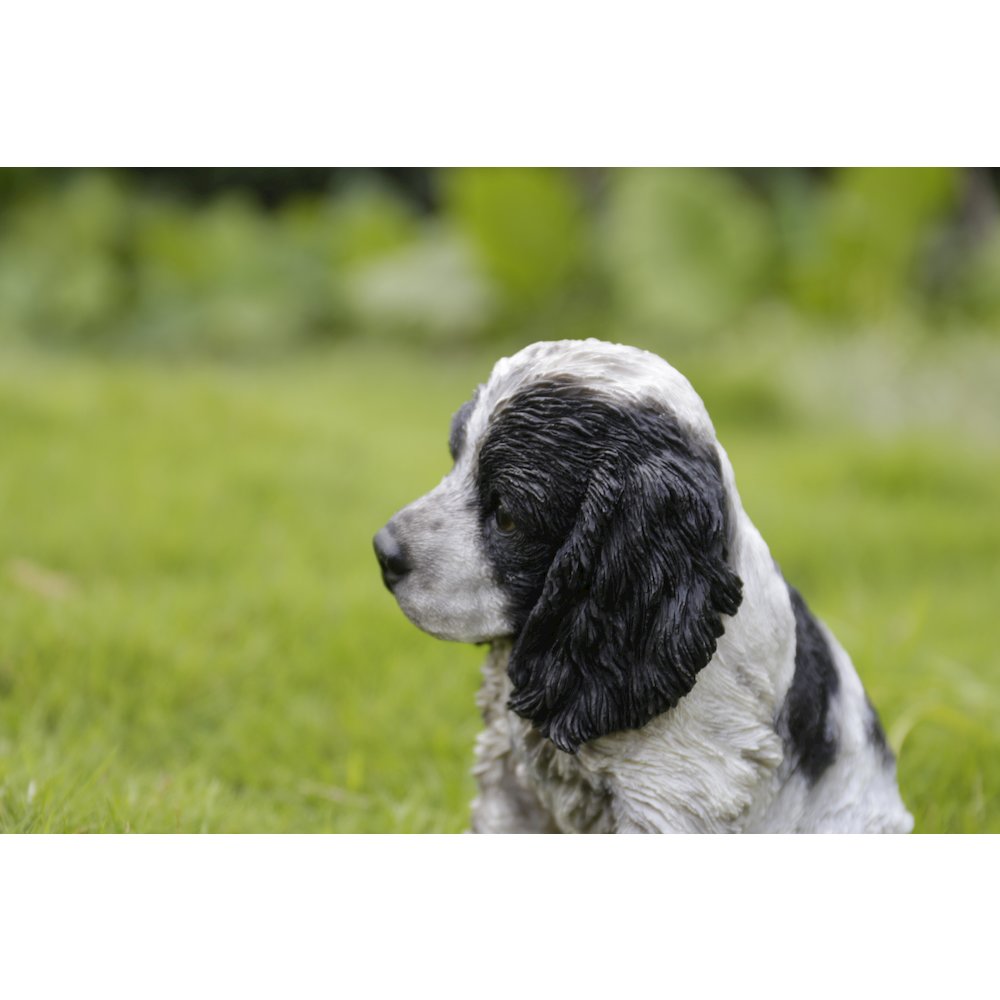 Black & White Cocker Spaniel Statue. Picture 7