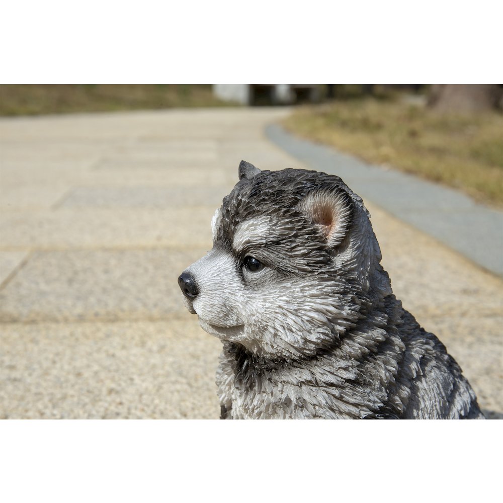 Malamute Puppy Sitting Statue. Picture 5