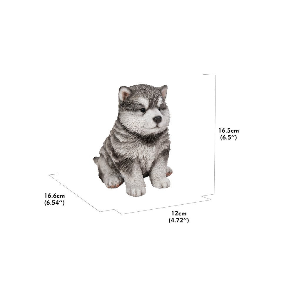 Malamute Puppy Sitting Statue. Picture 3