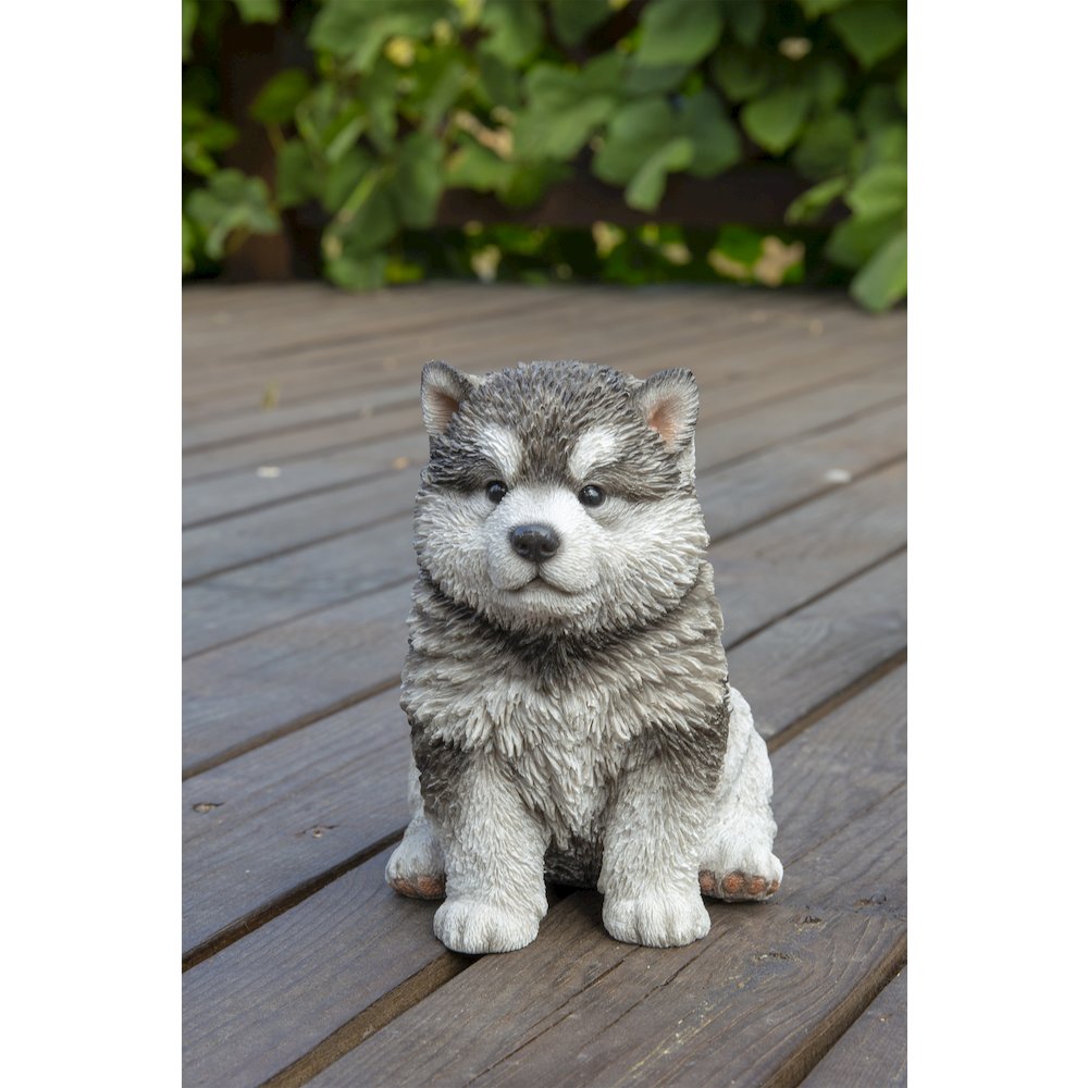 Malamute Puppy Sitting Statue. Picture 9