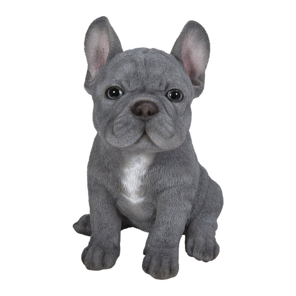 Blue French Bulldog Puppy Sitting Statue. Picture 2