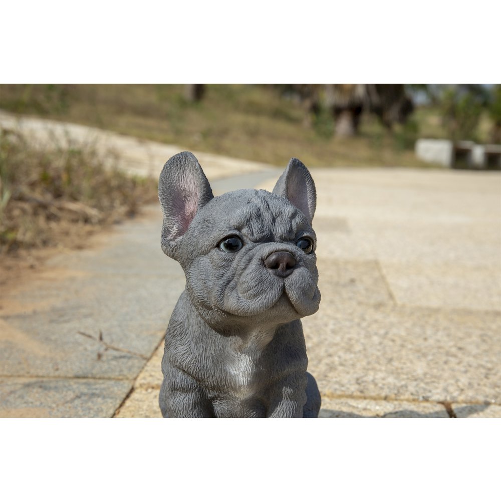 Blue French Bulldog Puppy Sitting Statue. Picture 5
