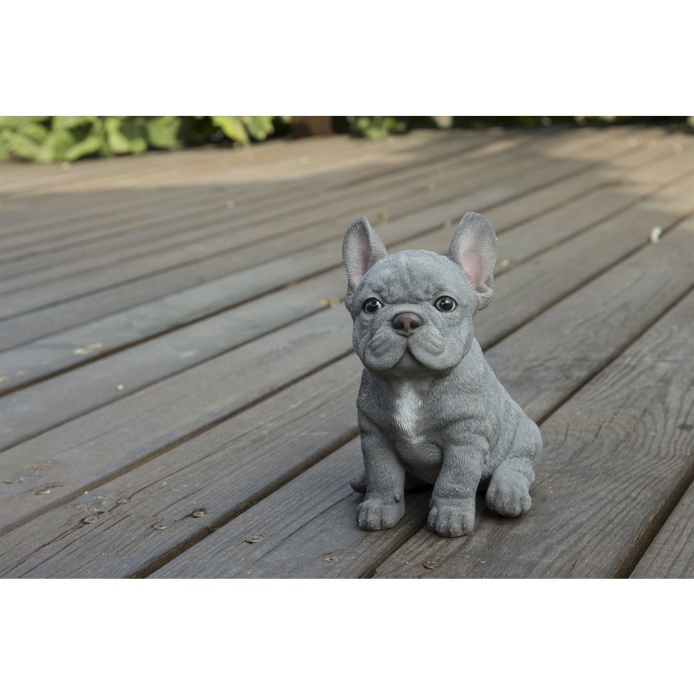 Blue French Bulldog Puppy Sitting Statue. Picture 6