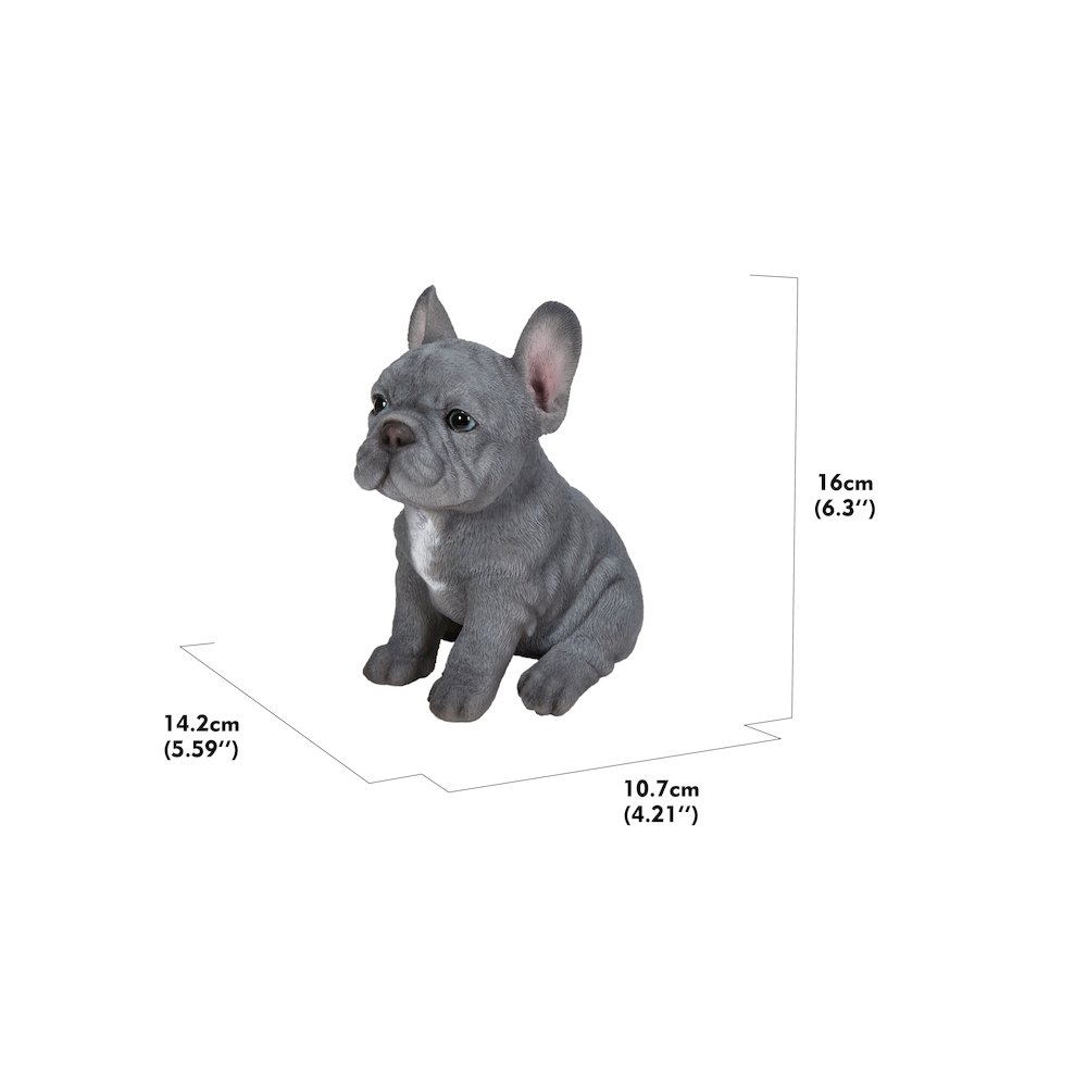 Blue French Bulldog Puppy Sitting Statue. Picture 8