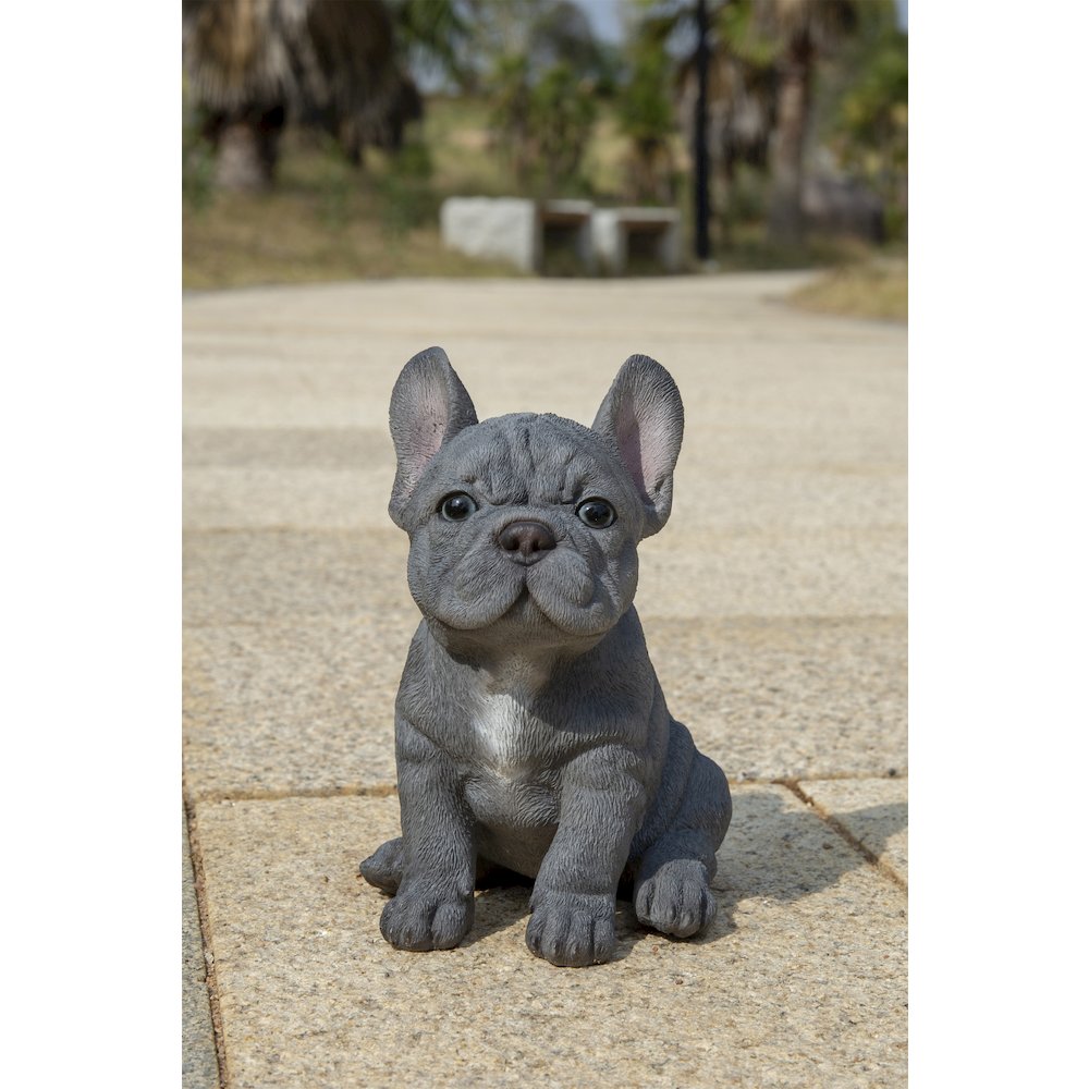 Blue French Bulldog Puppy Sitting Statue. Picture 9