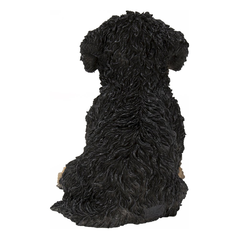 Baby Cavapoo Black & Tan. Picture 4