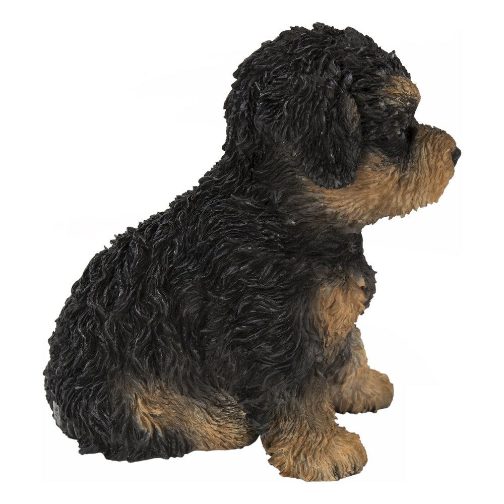 Baby Cavapoo Black & Tan. Picture 1