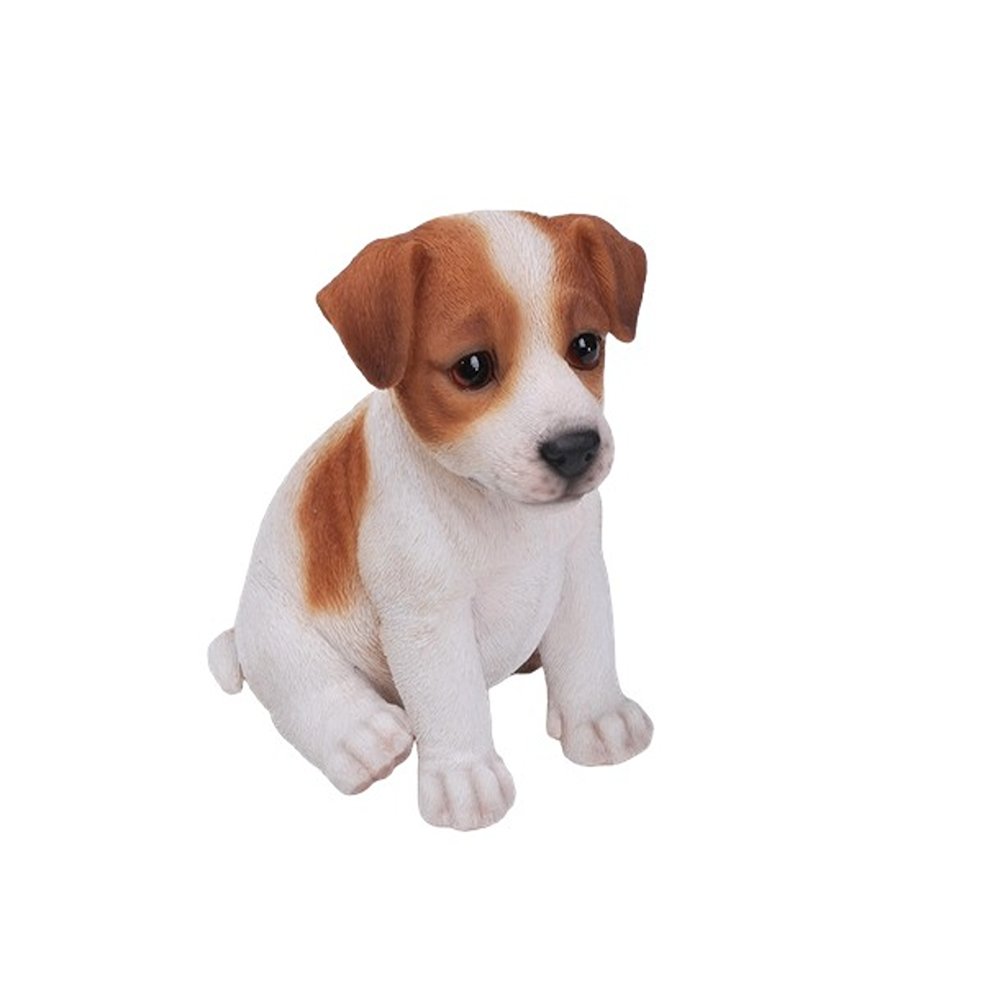 Jack Russell Terrier Puppy. Picture 2