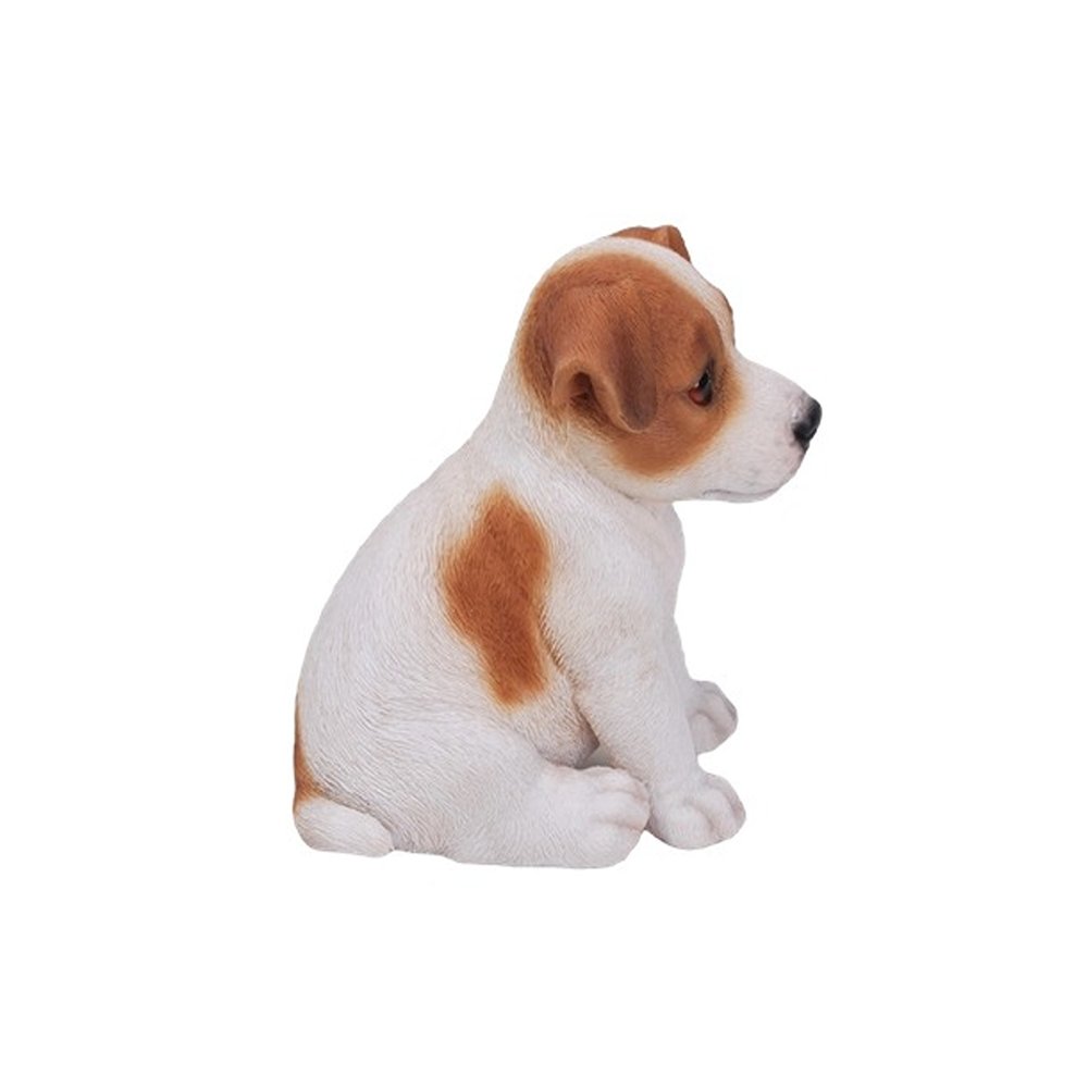 Jack Russell Terrier Puppy. Picture 3