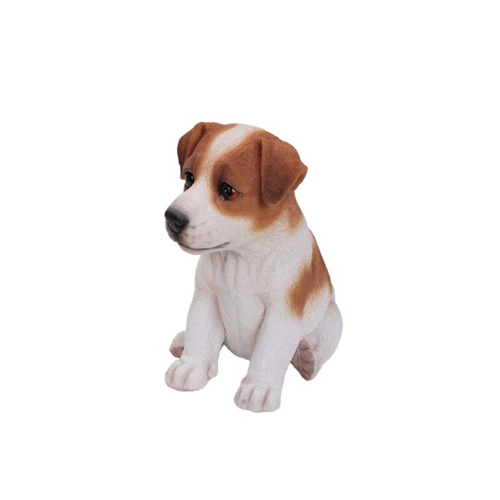 Jack Russell Terrier Puppy. Picture 1