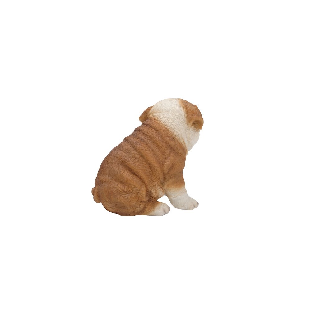 Bulldog Puppy. Picture 4