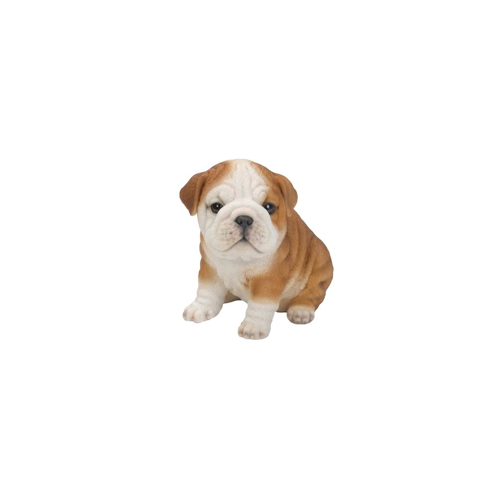 Bulldog Puppy. Picture 2