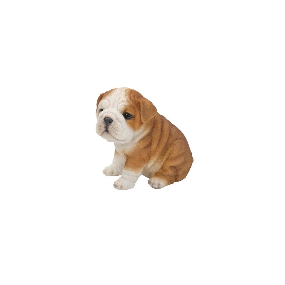 Bulldog Puppy. Picture 1