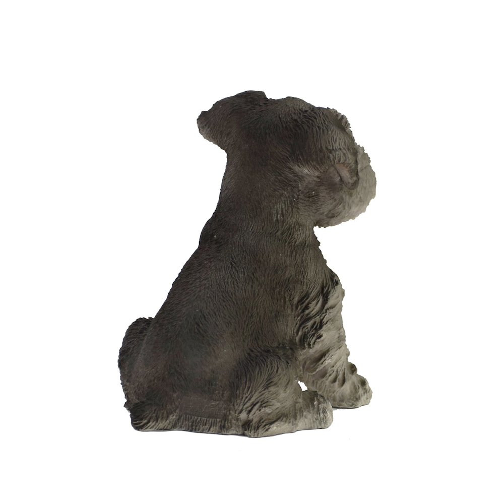 Schnauzer Puppy. Picture 3