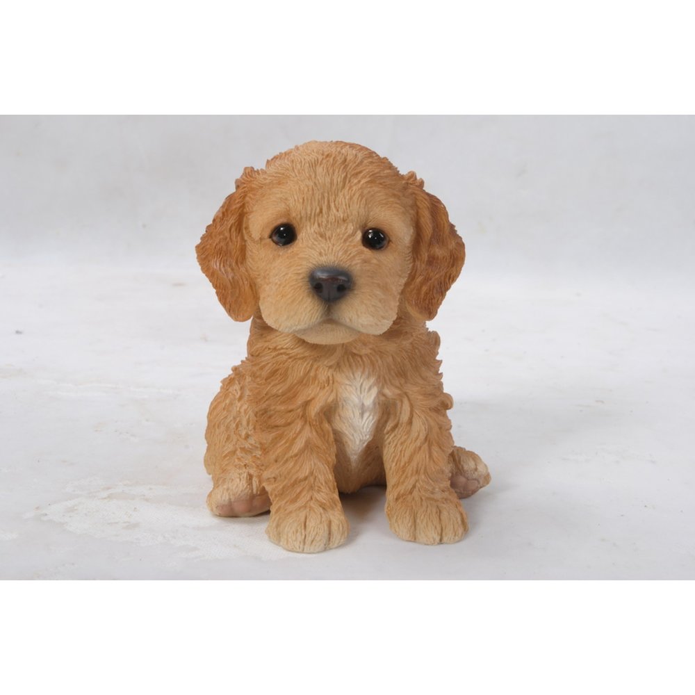 Brown Cockapoo Puppy. Picture 2
