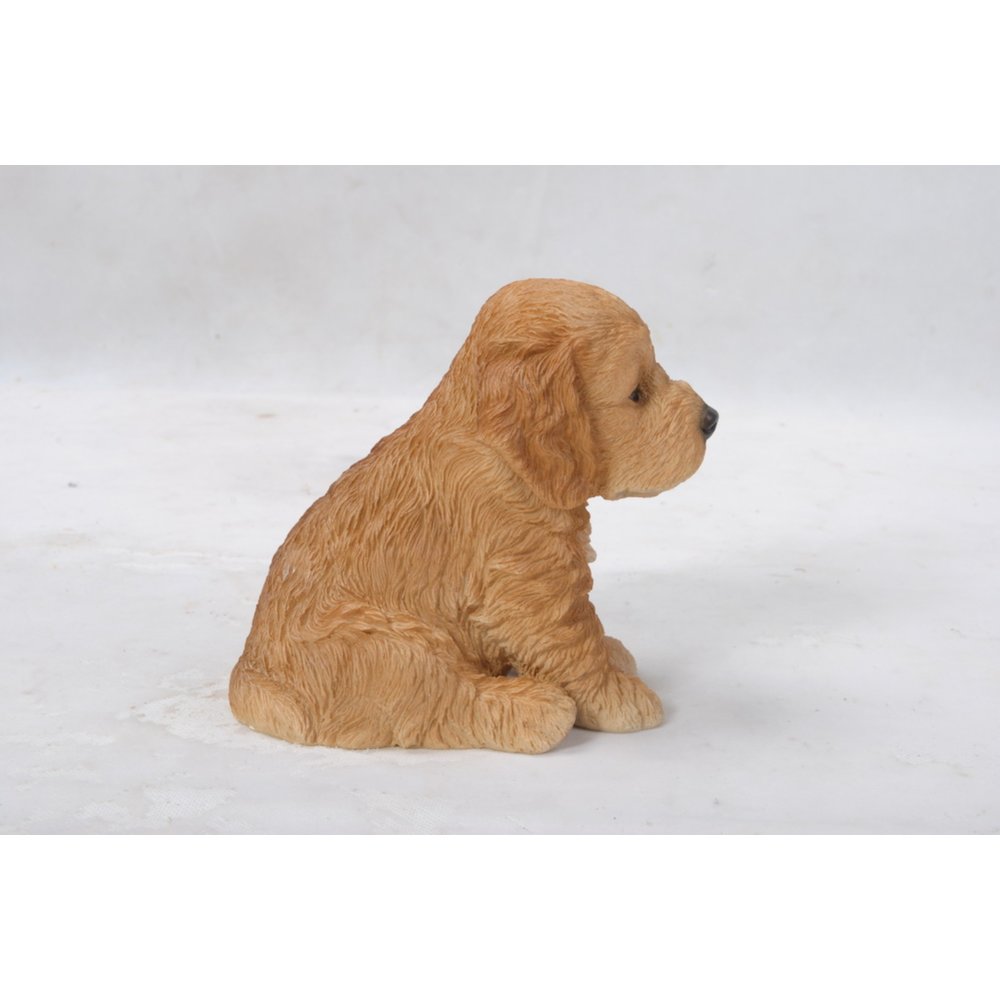 Brown Cockapoo Puppy. Picture 4