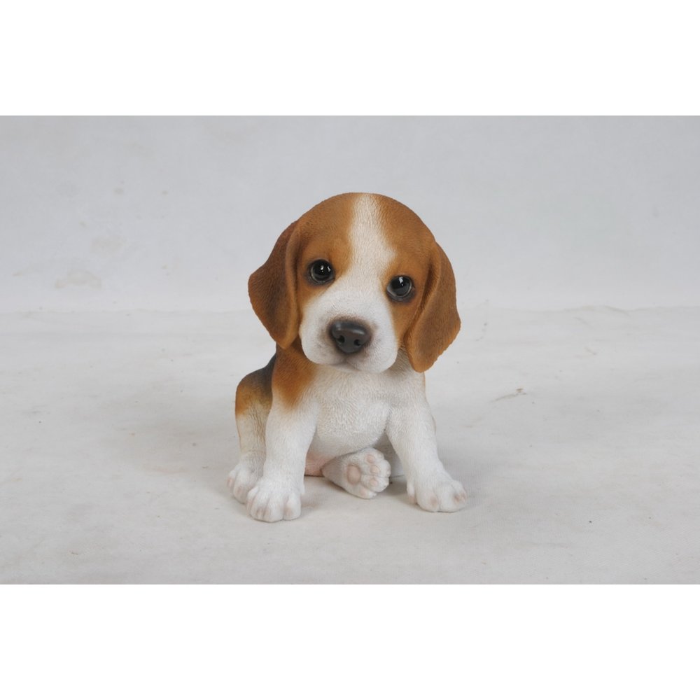 Beagle Puppy. Picture 2