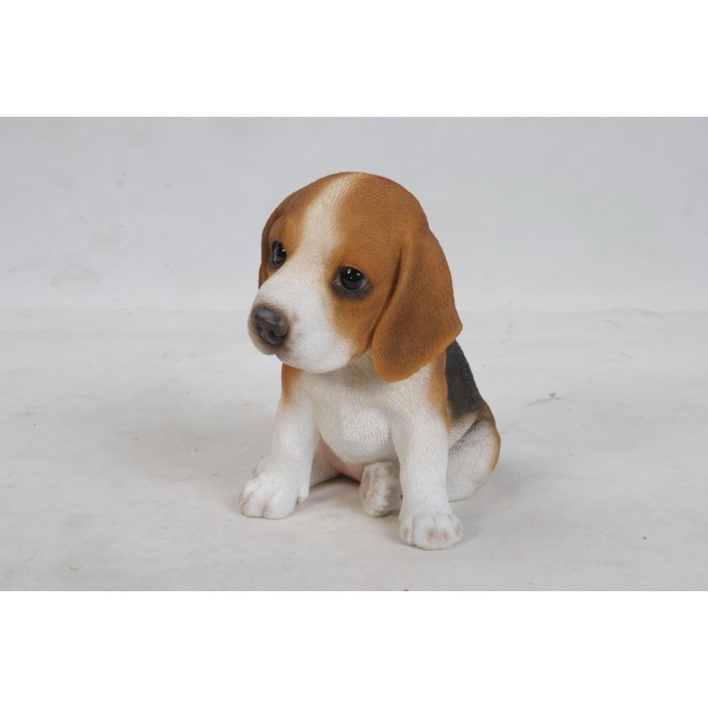 Beagle Puppy. Picture 1