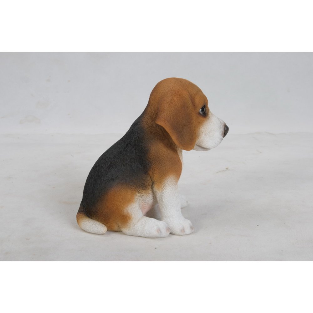 Beagle Puppy. Picture 4