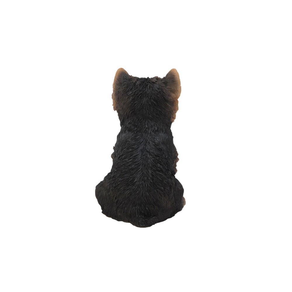Yorkshire Terrier Puppy. Picture 4