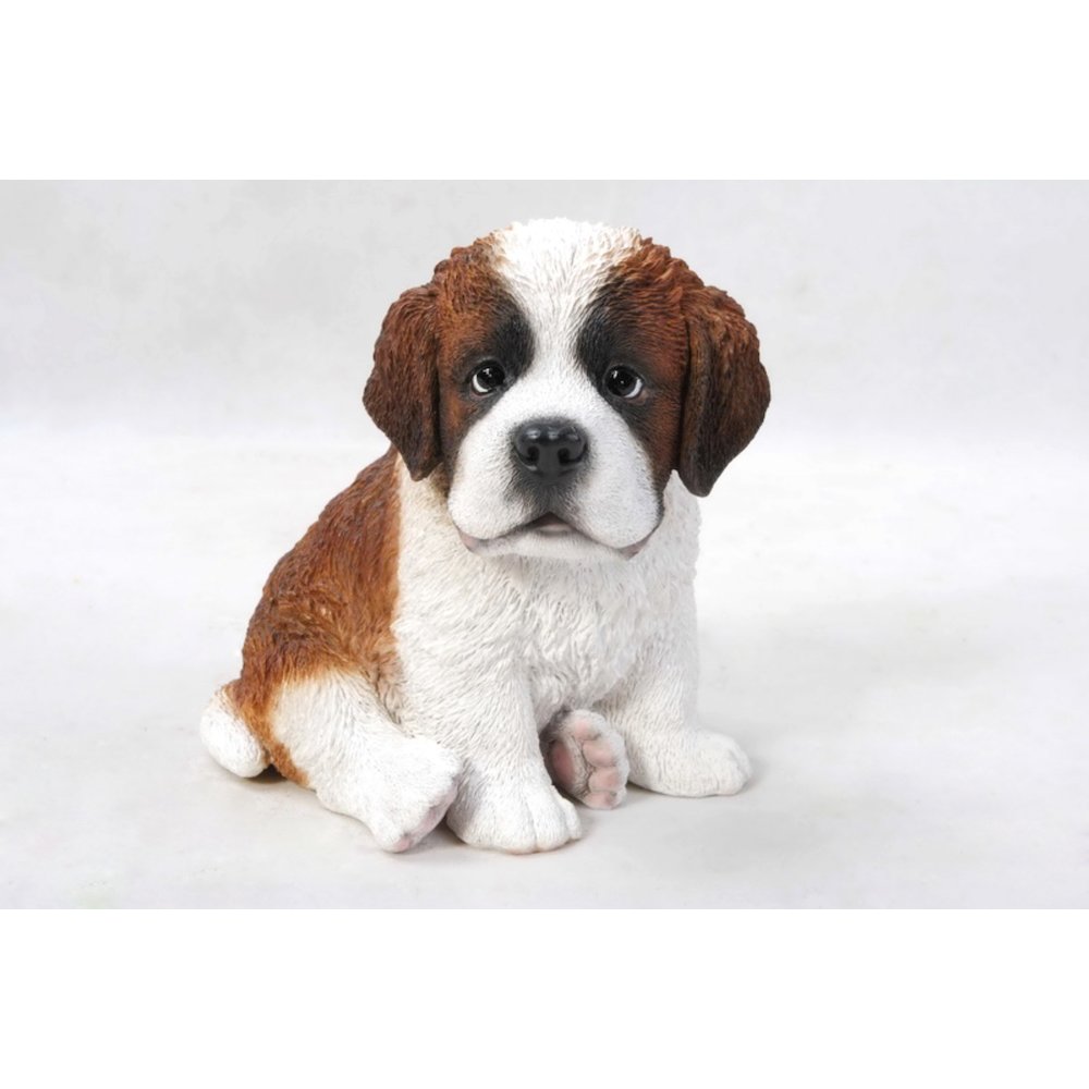 Saint Bernard Puppy. Picture 1