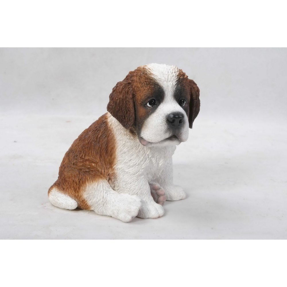 Saint Bernard Puppy. Picture 4