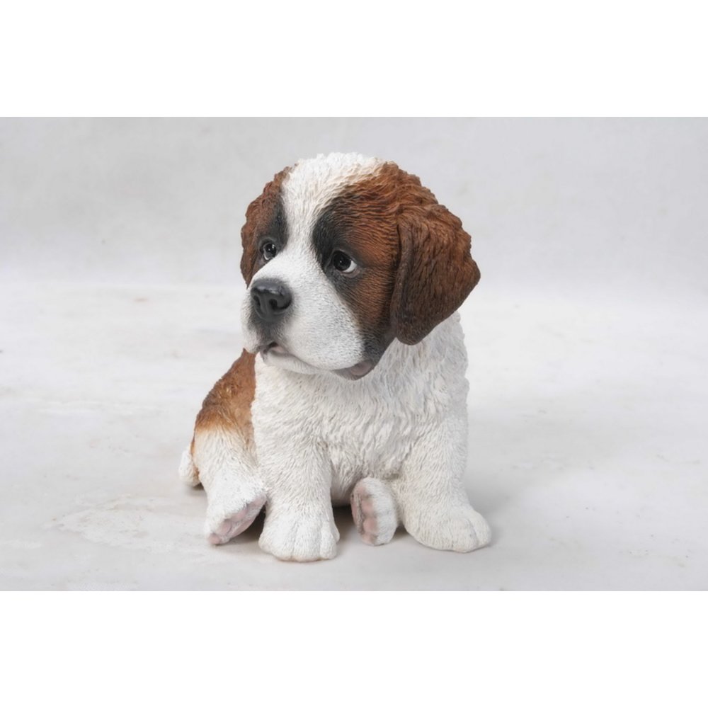 Saint Bernard Puppy. Picture 5