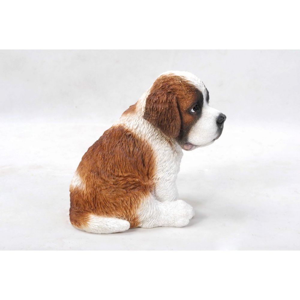 Saint Bernard Puppy. Picture 3